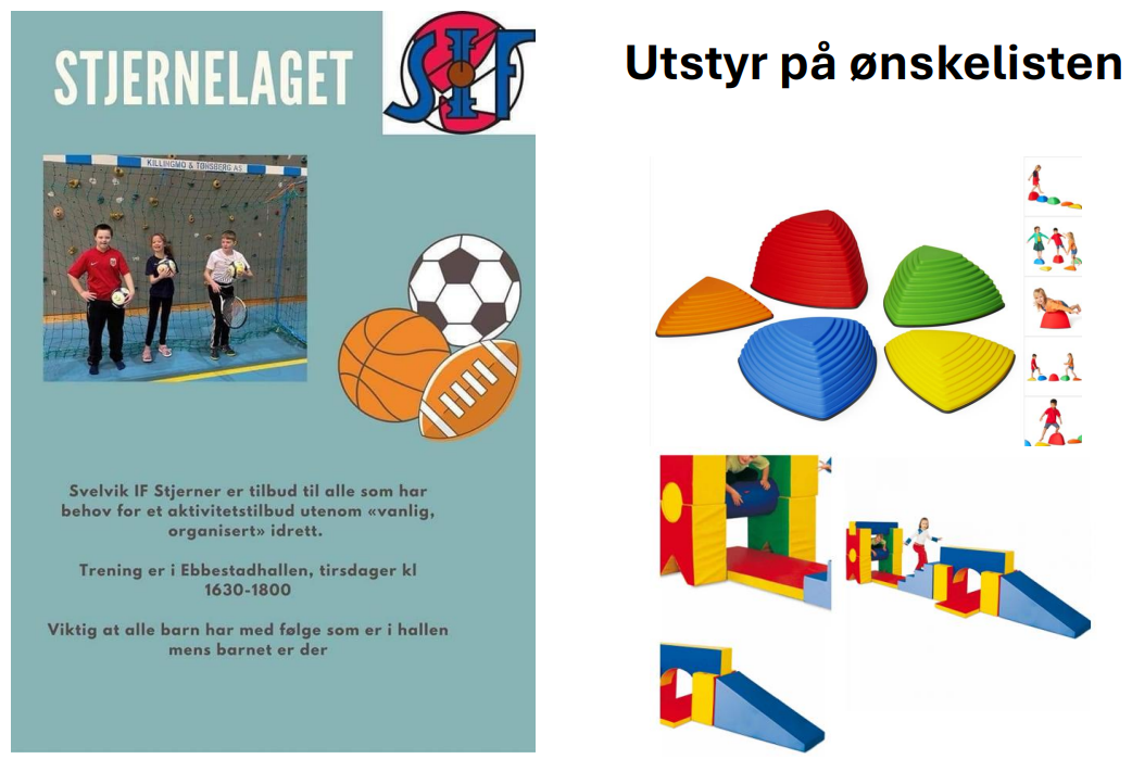 Vinterlotteri - Stjernelaget